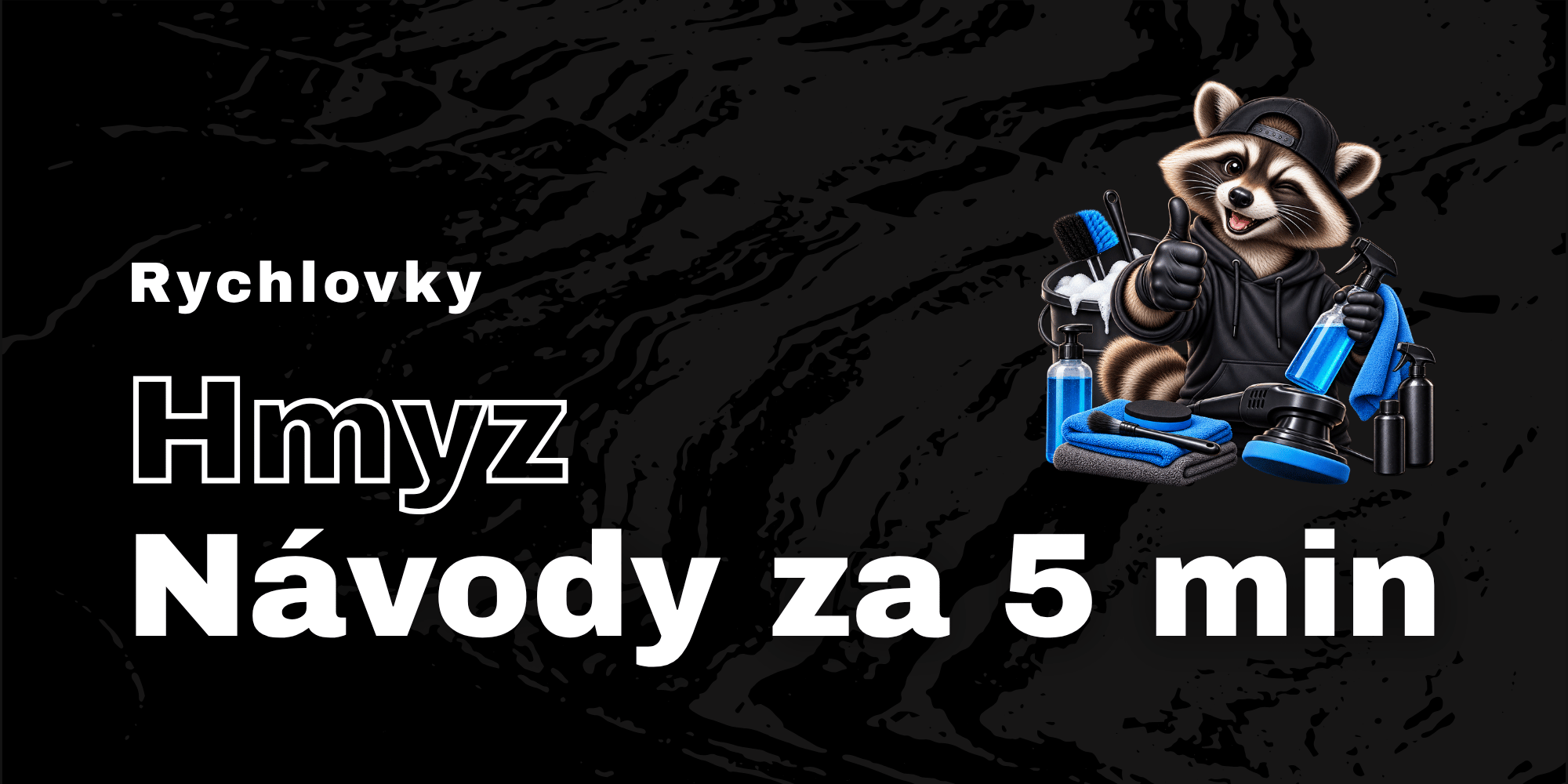 Rychlý návod za 5 minut: Jak odstranit hmyz?